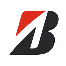 Bridgestone Europe NV/SA Niederlassung Spreitenbach