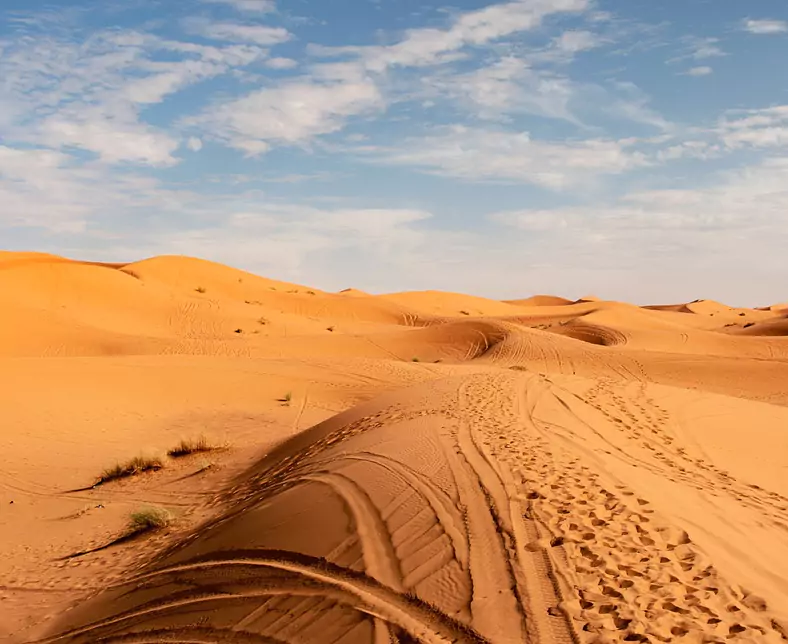 Sand Dunes.jpg